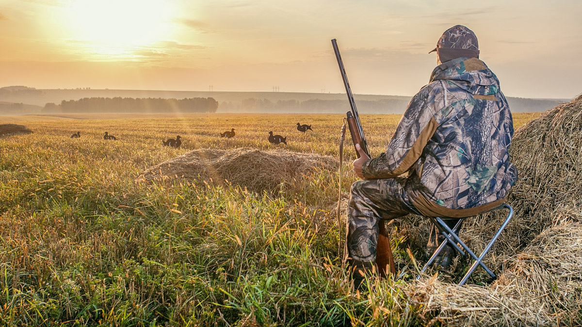 Biuro polowań Hunting Driada